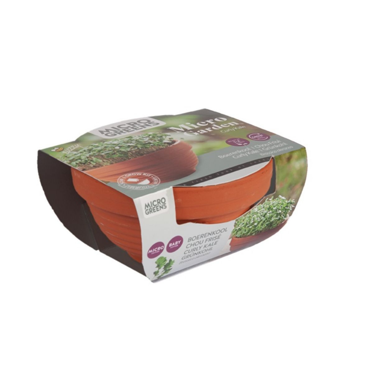 Microgreens kučeravý kel v terakotovej miske – Pieterpik
