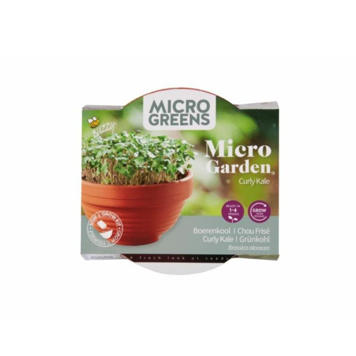 Microgreens kučeravý kel v terakotovej miske – Pieterpik