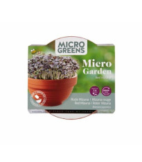 Microgreens Červená mizuna v terakotovej miske – Buzzy