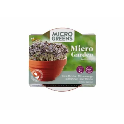 Microgreens Červená mizuna v terakotovej miske – Buzzy