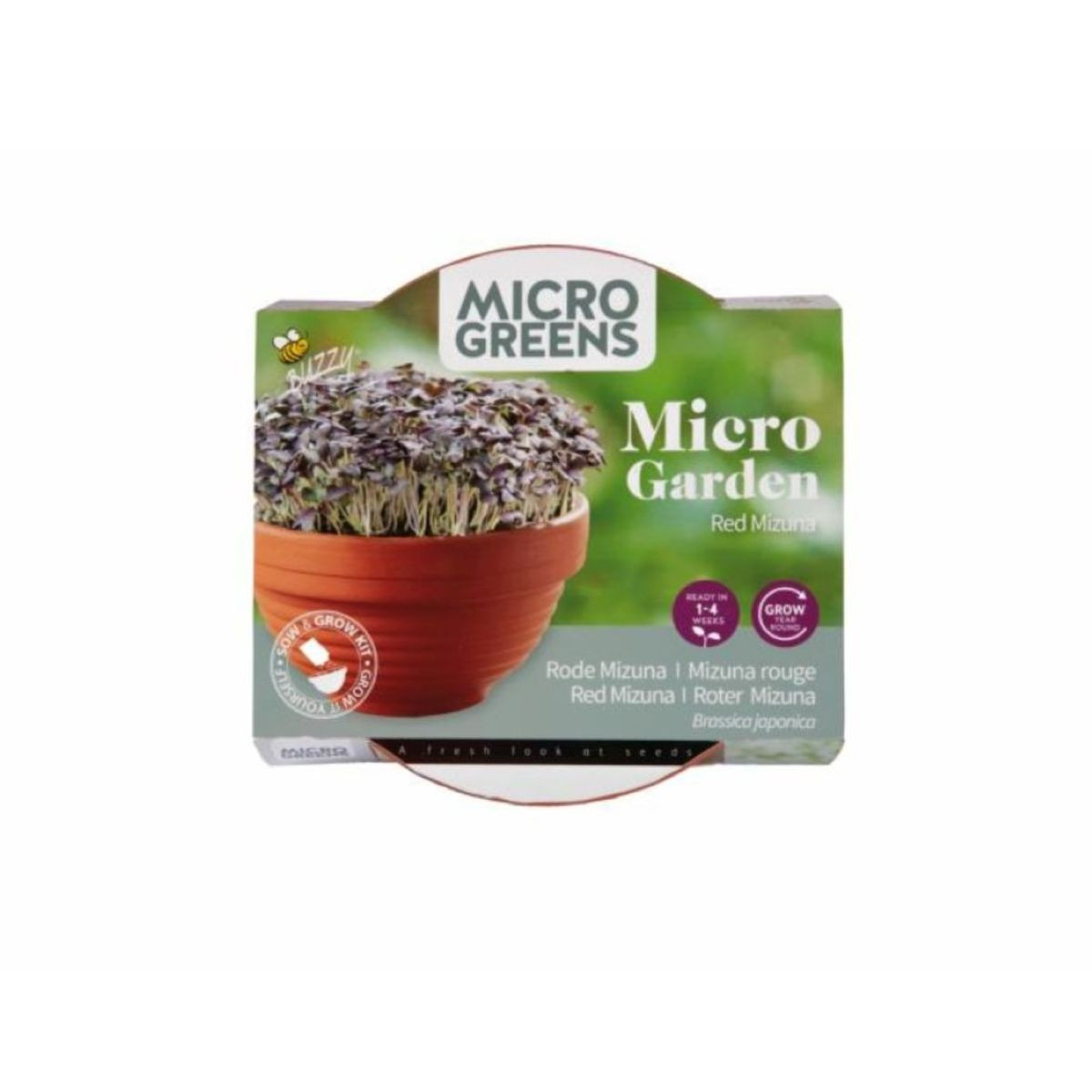 Microgreens Červená mizuna v terakotovej miske – Buzzy