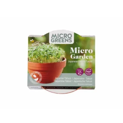 Microgreens Tatsoi v terakotovej miske – Buzzy – Pieterpik