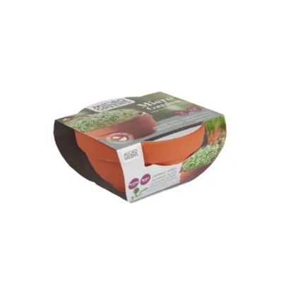 Microgreens Tatsoi v terakotovej miske – Buzzy – Pieterpik