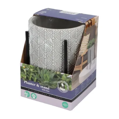 Súprava Aloe Vera s dizajnovým kvetináčom Pieterpik