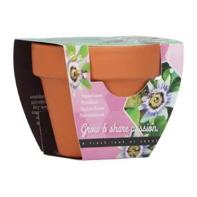 Pestovateľská minisúprava mučenky Buzzy Grow Gift Pieterpik