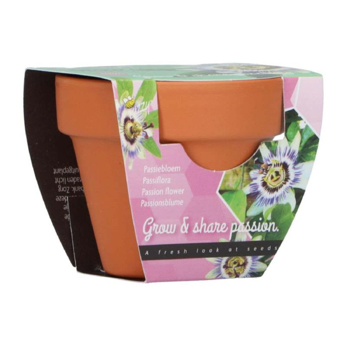 Pestovateľská minisúprava mučenky Buzzy Grow Gift Pieterpik