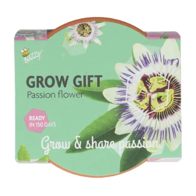 Pestovateľská minisúprava mučenky Buzzy Grow Gift Pieterpik