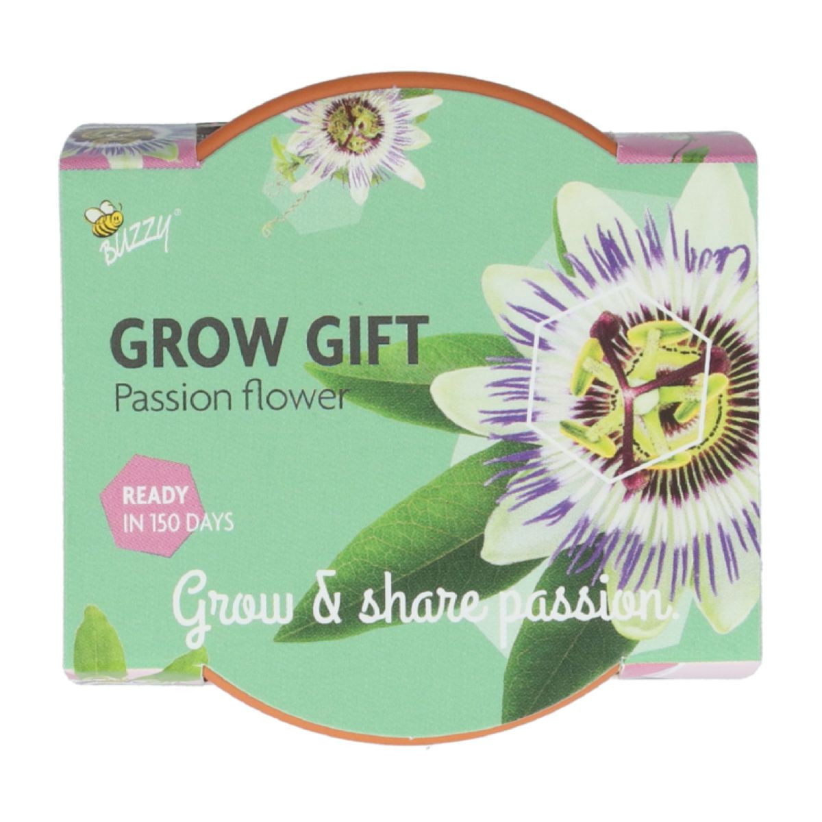 Pestovateľská minisúprava mučenky Buzzy Grow Gift Pieterpik