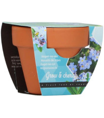 Mini súprava s nezábudkou – Buzzy Grow Gift – Pieterpik