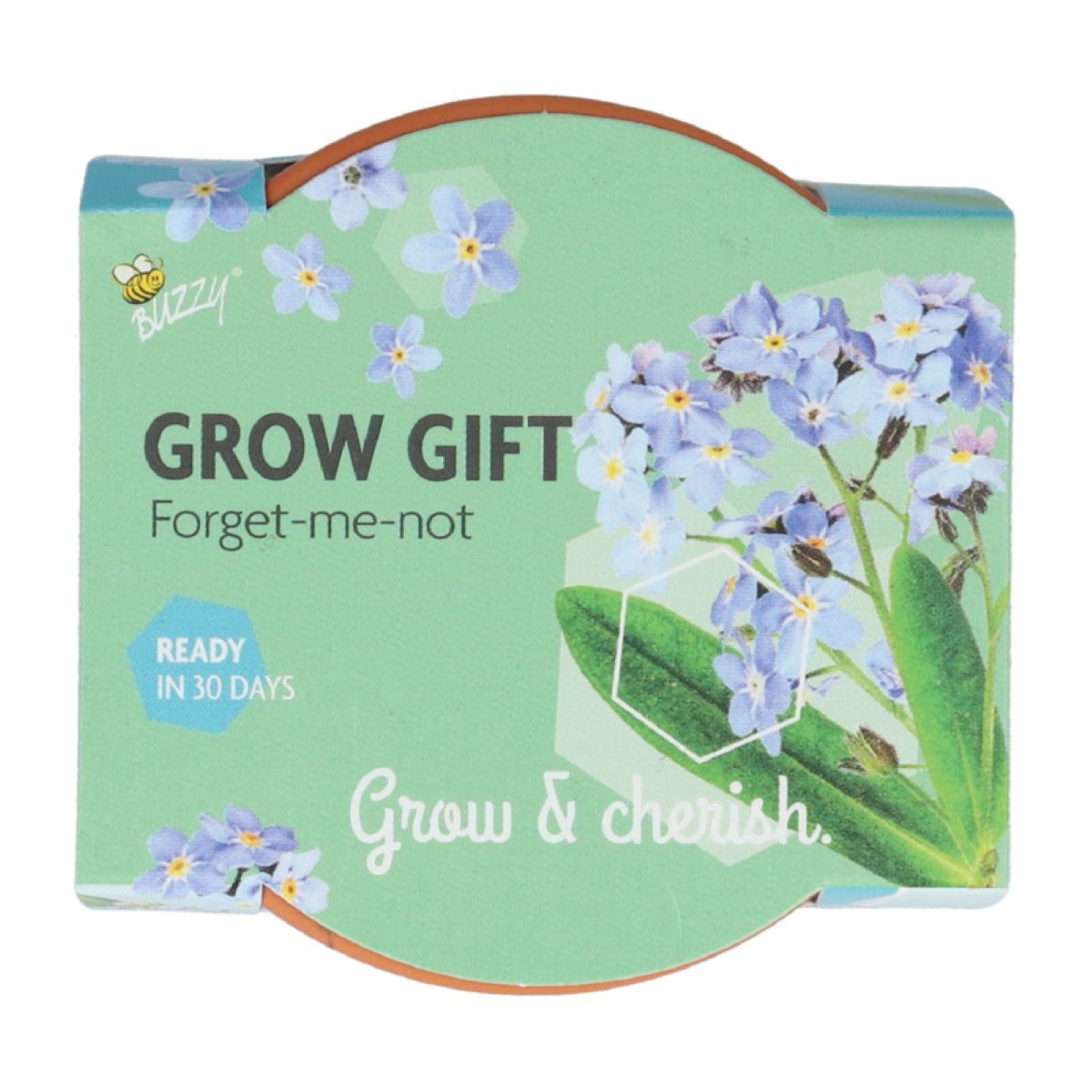 Mini súprava s nezábudkou – Buzzy Grow Gift – Pieterpik
