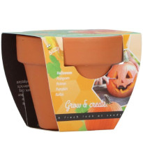 Mini pestovateľská súprava na tekvicu – Buzzy Grow Gifts