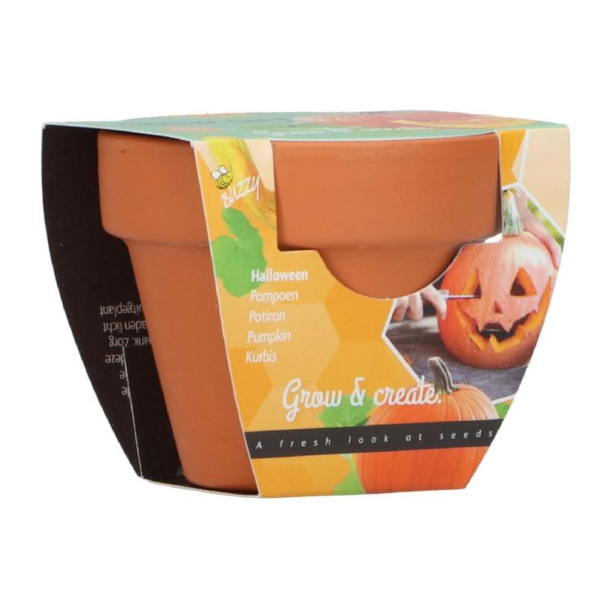 Mini pestovateľská súprava na tekvicu – Buzzy Grow Gifts