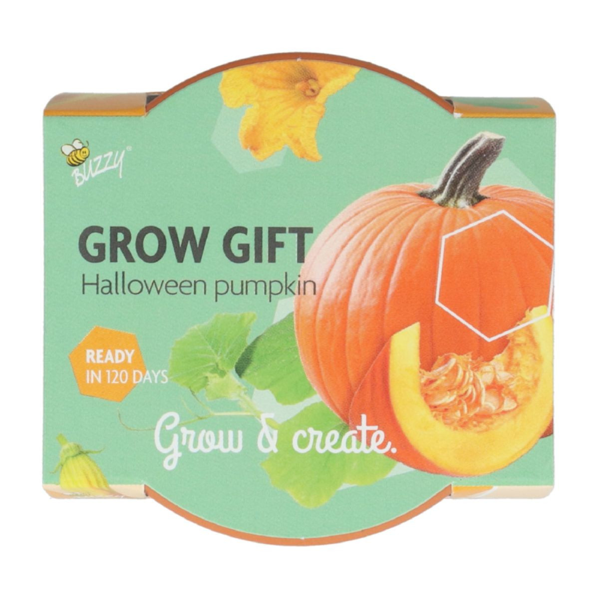 Mini pestovateľská súprava na tekvicu – Buzzy Grow Gifts