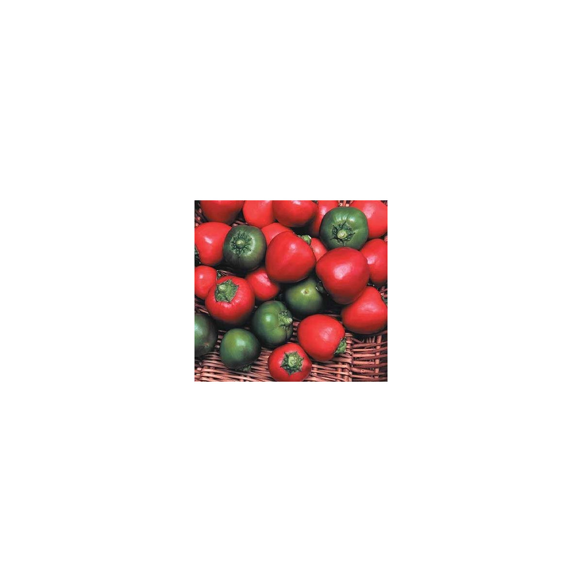 Chilli - Bomba v raji - semená - 6 ks