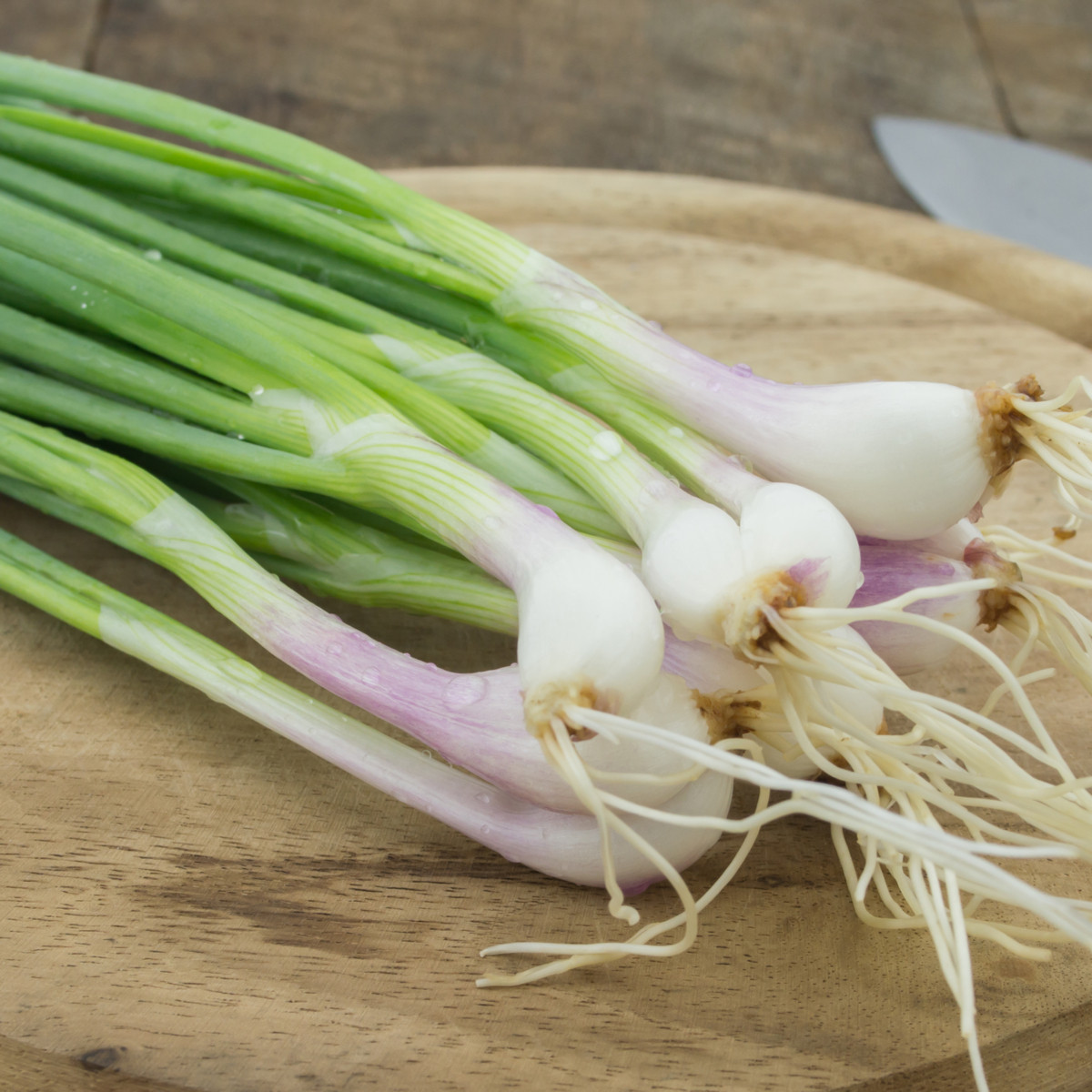 Cibuľa biela jarná Biely Lisabon - Allium cepa - semená - 250 ks