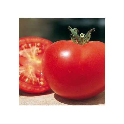 Paradajka poľná zakrpatená Saint Pierre - semená paradajok - 15 ks