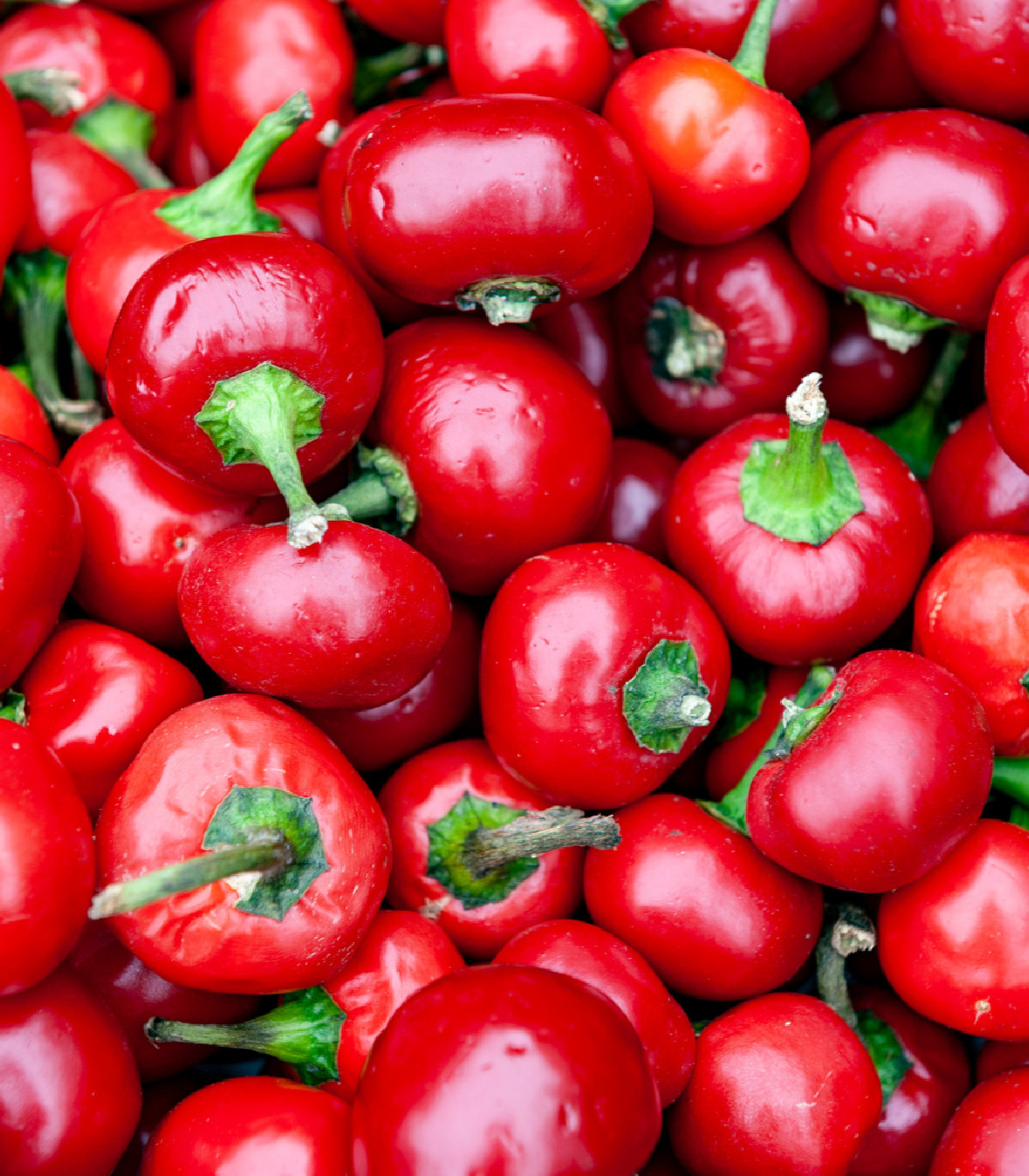 Paprika Red Cherry - Capsicum annnuum - semená papriky - 7 ks