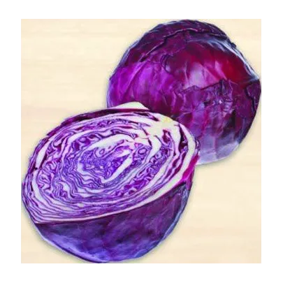 Kapusta hlávková červenočierna - Brassica oleracea - semená - 0,5 g