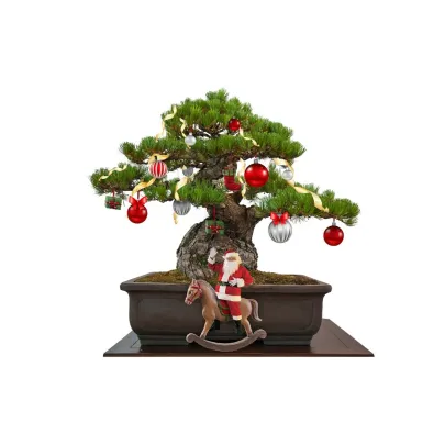 Hnojivo pre kaktusy - Cactus focus - 300 ml