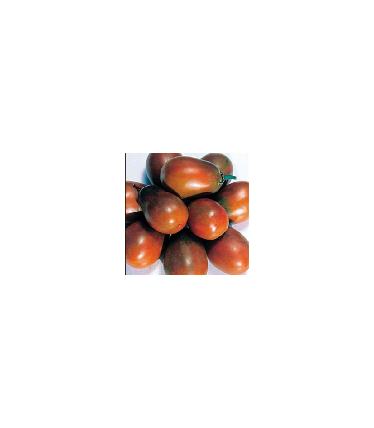Rajče- Černá švestka- semena- 6 ks- Lycopersicon esculentum