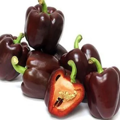Paprika Babybell Chocolate - Capsicum annuum - semená - 8 ks