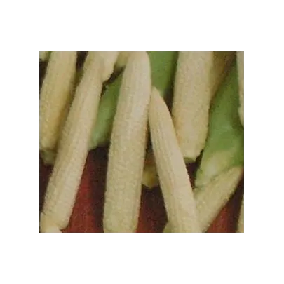 Kukurica Minipop F1- Zea Mays - semená - 15 ks