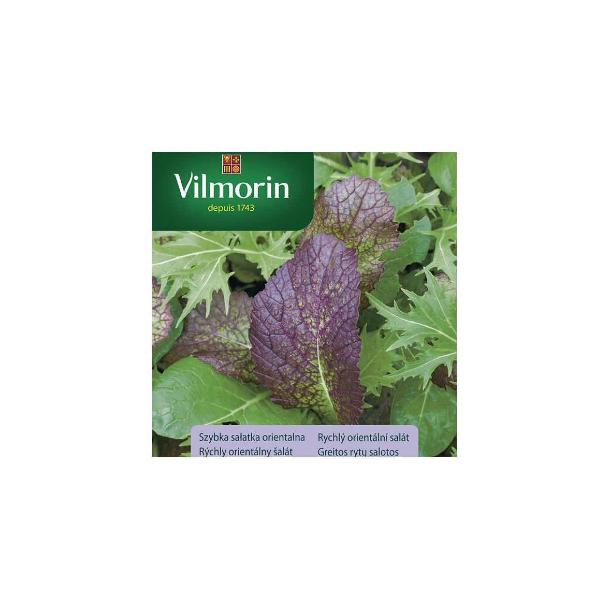 Vilmorin - Rýchly orientálny šalát - semená - 2 g