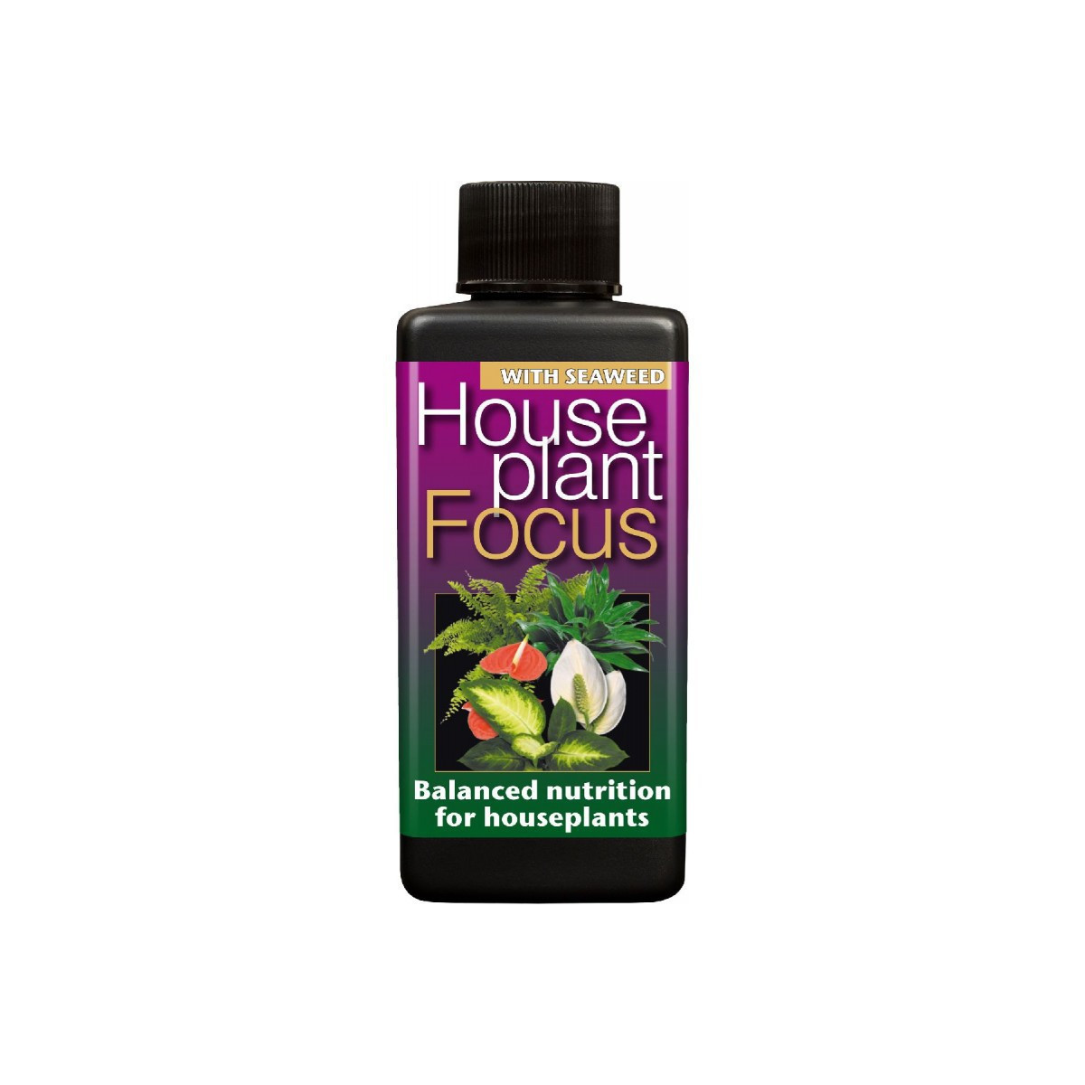 Hnojivo pre izbové rastliny - House plant focus - 100 ml