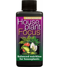 Hnojivo pre izbové rastliny - House plant focus - 300 ml