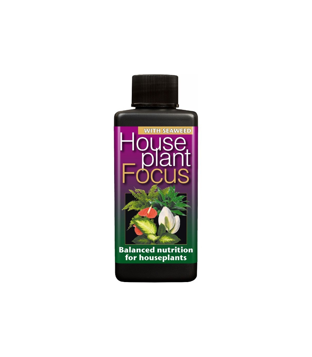 Hnojivo pre izbové rastliny - House plant focus - 300 ml