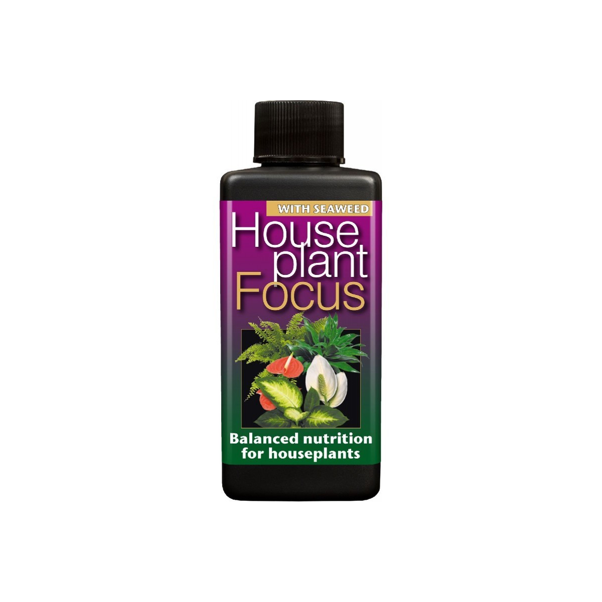 Hnojivo pre izbové rastliny - House plant focus - 300 ml