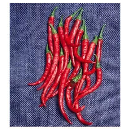 Kajenské korenie - Cayenne pepper - semená - 6 ks