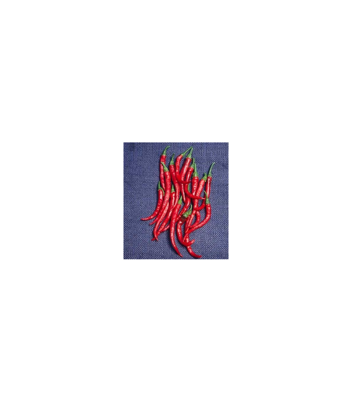 Kajenské korenie - Cayenne pepper - semená - 6 ks