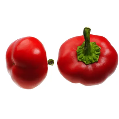Rajčinová paprika Topgirl - Capsicum annuum - semená papriky - 7 ks