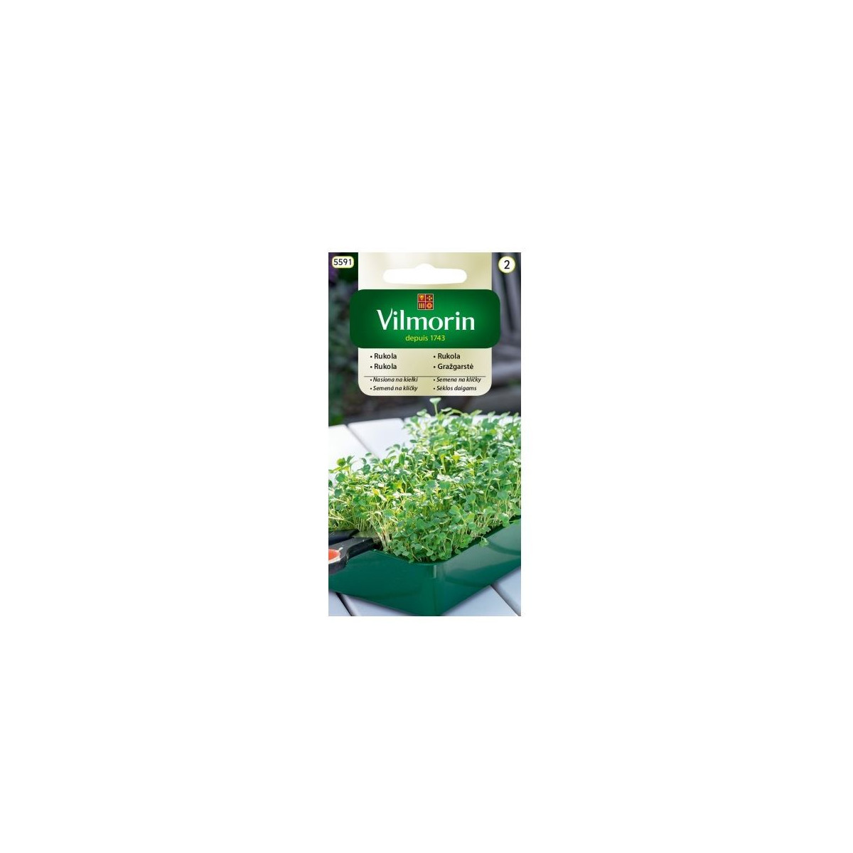 Semená na klíčky - Rukola - 10 g