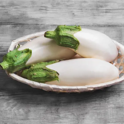Baklažán Casper - Solanum melongena - predaj semien - 7 ks