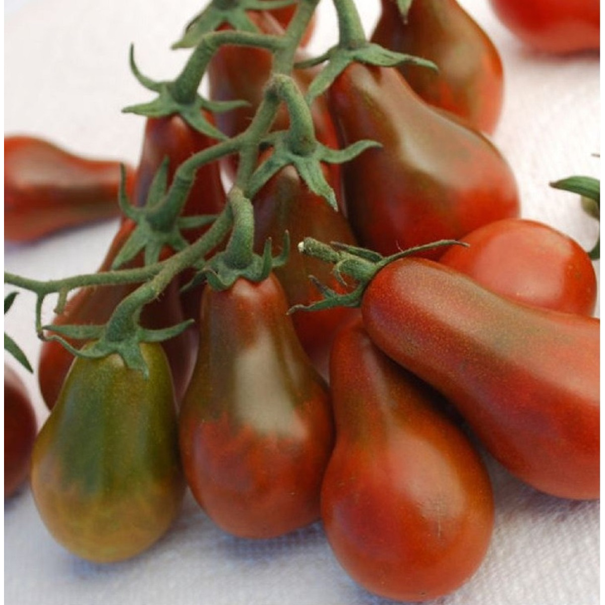 Paradajka Chocolate Pear - semená - 6 ks