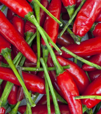Chilli Aji Crystal - Capsicum baccatum - semená - 7 ks