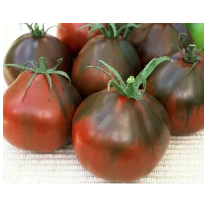 Rajče - Černá hruška - semena - 6 ks