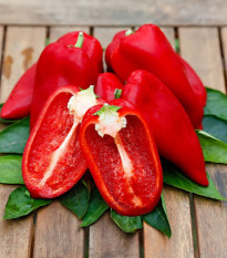 Paprika Snackling Red F1 - Capsicum annuum - semená - 5 ks