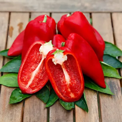 Paprika Snackling Red F1 - Capsicum annuum - semená - 5 ks