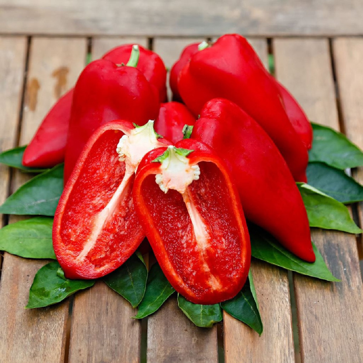 Paprika Snackling Red F1 - Capsicum annuum - semená - 5 ks