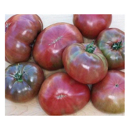 Rajče - Carbon - nejčernější rajče - semena rajčat - 6 ks
