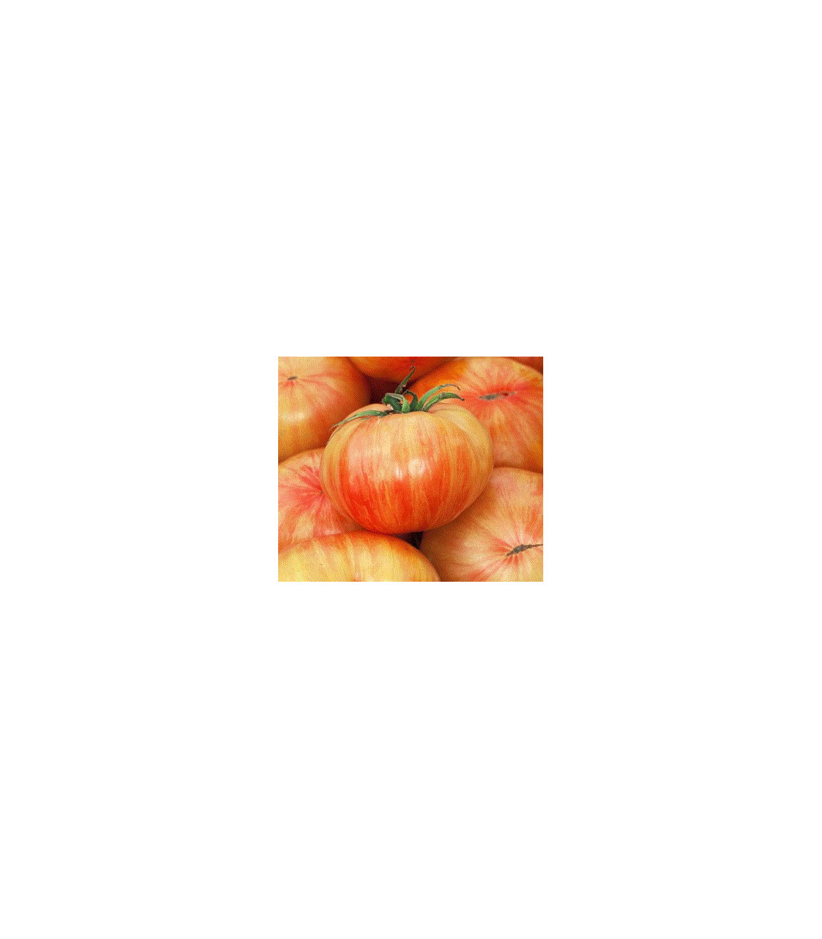 Rajče Copia - semena rajčat - 7 ks