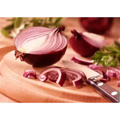 Cibuľa Lilia - semená cibuľky - Allium cepa - predaj semien - 130 ks