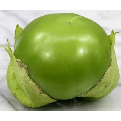 Tomatillo Cisineros – semená – 7 ks