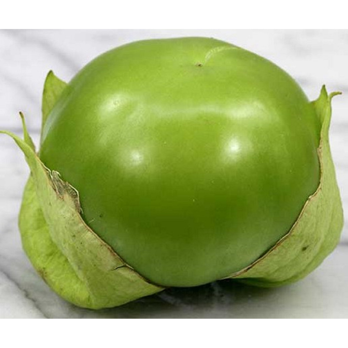 Tomatillo Cisineros – semená – 7 ks