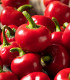 Chilli Cherry Bomb - Capsicum annuum - semená chilli - 6 ks