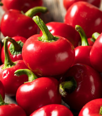 Chilli Cherry Bomb - Capsicum annuum - semená - 6 ks