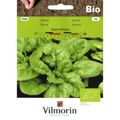 BIO Špenát Geant d'hiver - Spinacia oleracea - predaj bio semien - 10 g